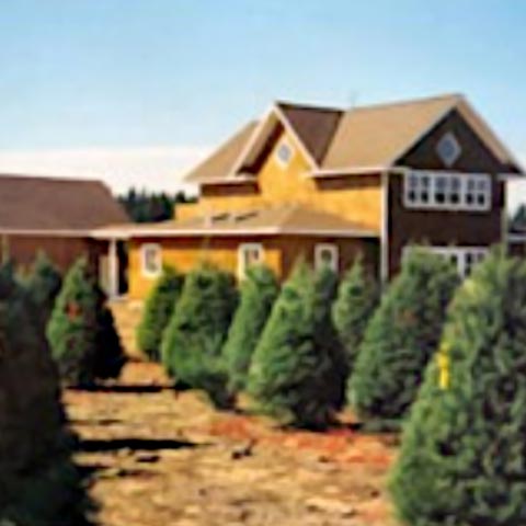 KitHomes-BluePrintStory-PineTreeFarmHome